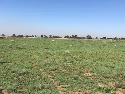 Vacant Land For Sale in Vereeniging - oLKe.webp