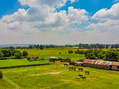 Farm For Sale in Walkerville - a72u.webp