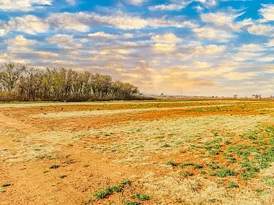 Farm For Sale in Johannesburg - EOuw.webp