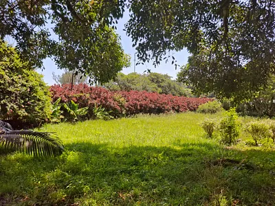Vacant Land For Sale in Mandeni - img