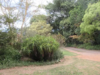 3 Bedroom House For Sale in Bathurst - G4Tw.webp