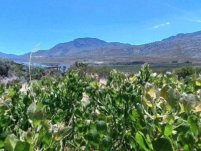 Vacant Land For Sale in Pringle Bay - img