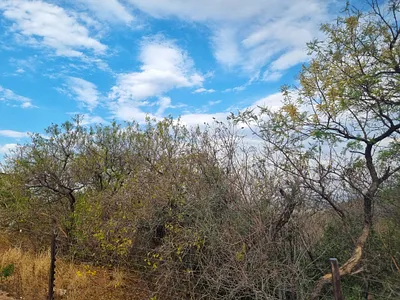 Vacant Land For Sale in Rustenburg - CePr.webp