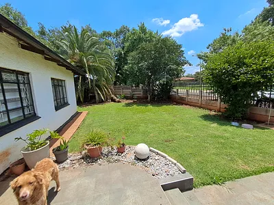 3 Bedroom House To Rent in Vanderbijlpark - img