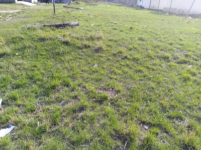 Vacant Land For Sale in Newcastle - hcIn.webp