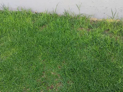 Vacant Land For Sale in Bankenveld Estate, Witbank - D7PX.webp