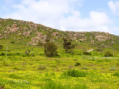 Vacant Land For Sale in St Helena Bay - U8n6.webp