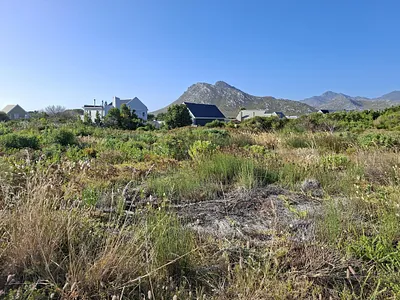 Vacant Land For Sale in Pringle Bay - img