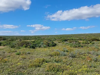 Vacant Land For Sale in Jacobsbaai - 7f9P.webp