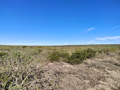 Vacant Land For Sale in Paternoster - SwqM.webp