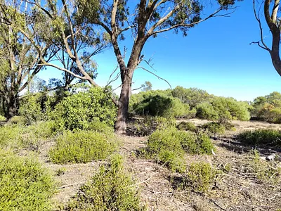 Vacant Land For Sale in St Helena Bay - sj4u.webp