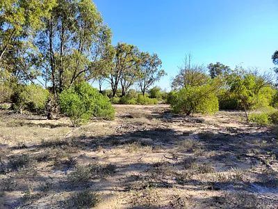 Vacant Land For Sale in St Helena Bay - c9RP.webp