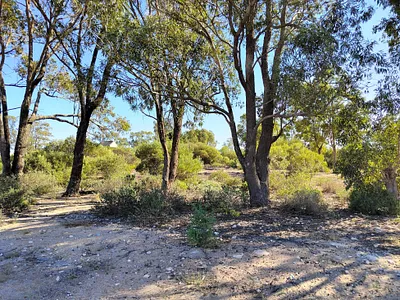 Vacant Land For Sale in St Helena Bay - zv8d.webp