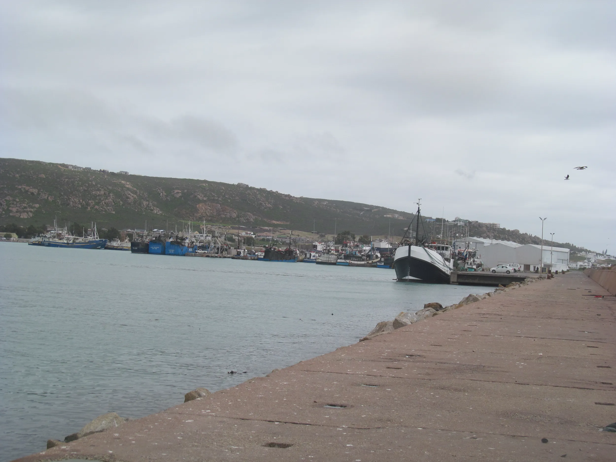 Carousel Indicator - 5kf3.webp