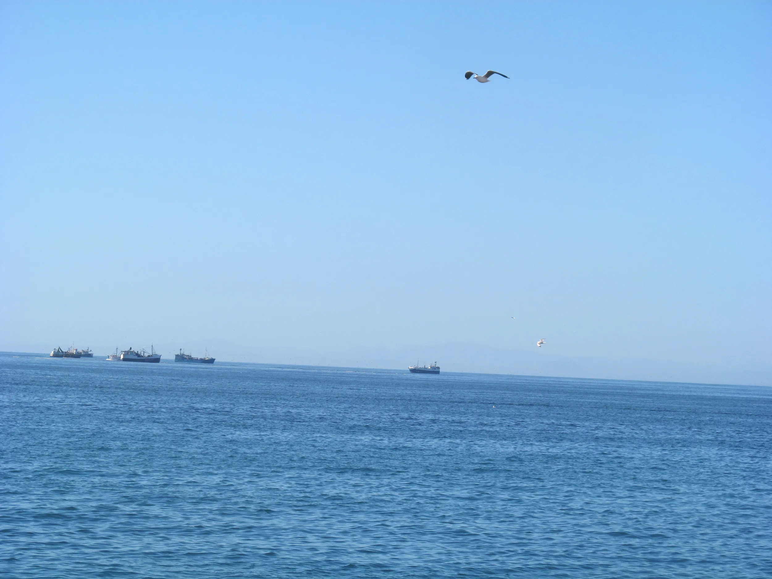 Carousel Indicator - B1AN.webp