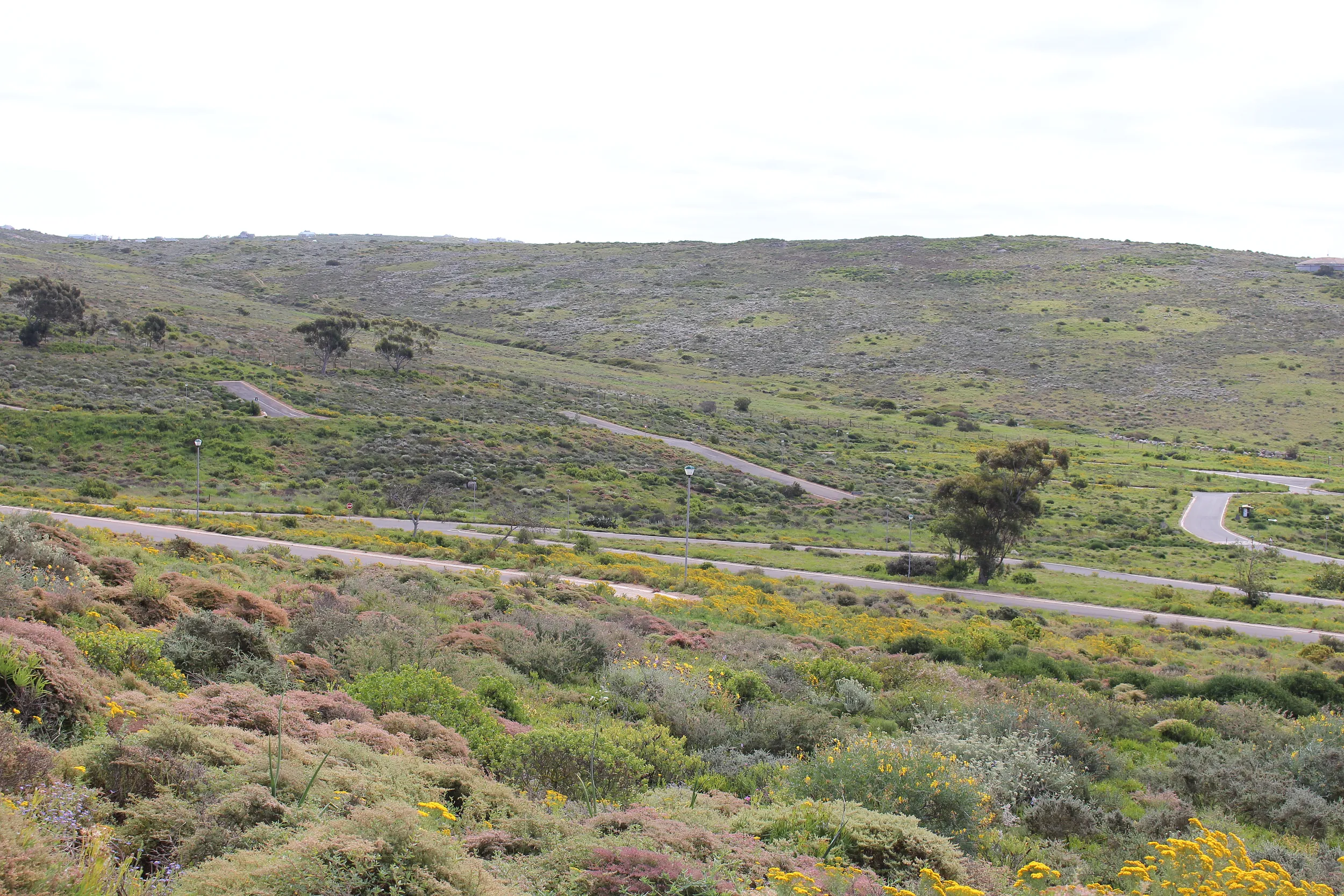 Carousel Indicator - Gw7V.webp