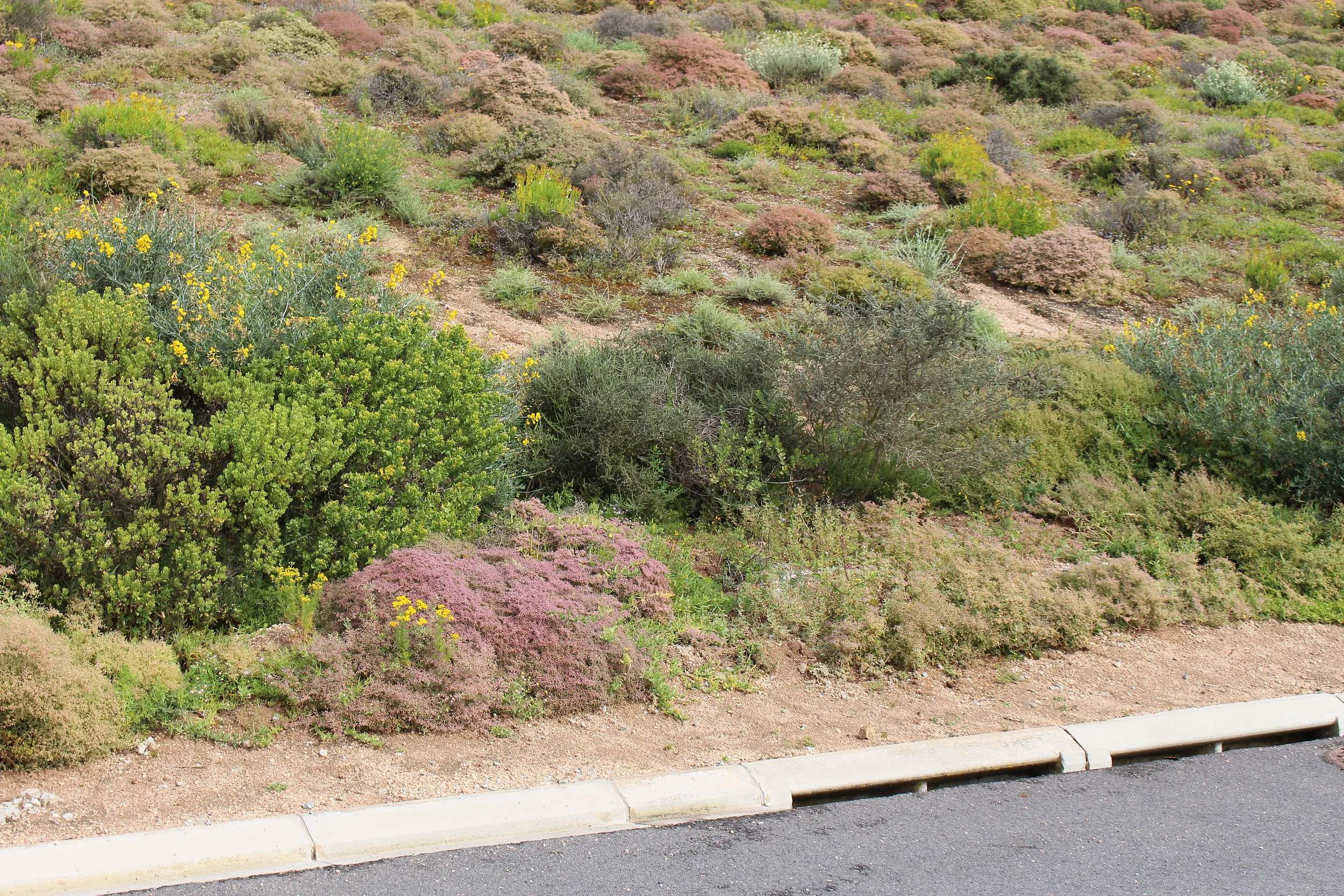 Carousel Indicator - HTMf.webp