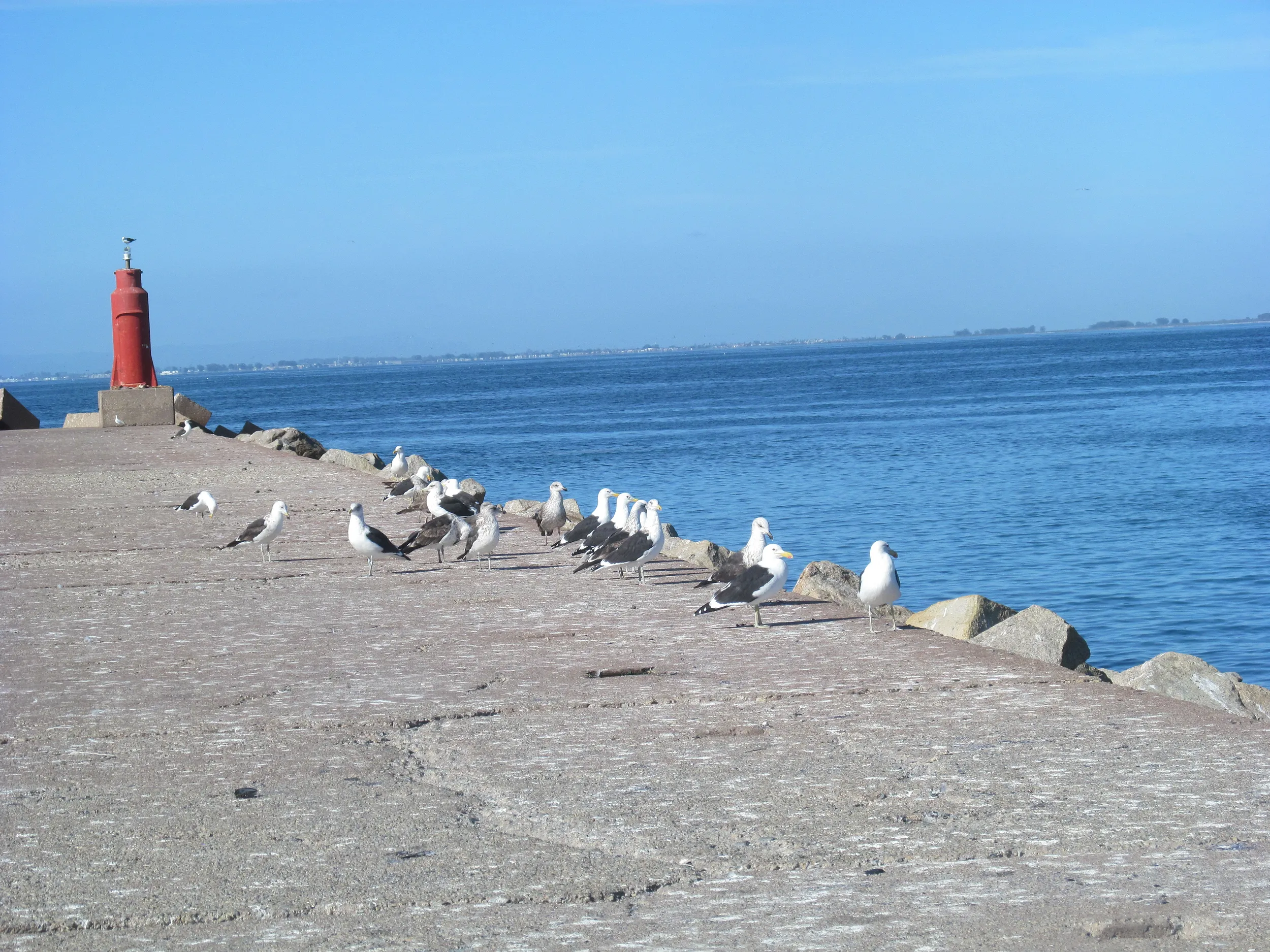 Carousel Indicator - IO3O.webp