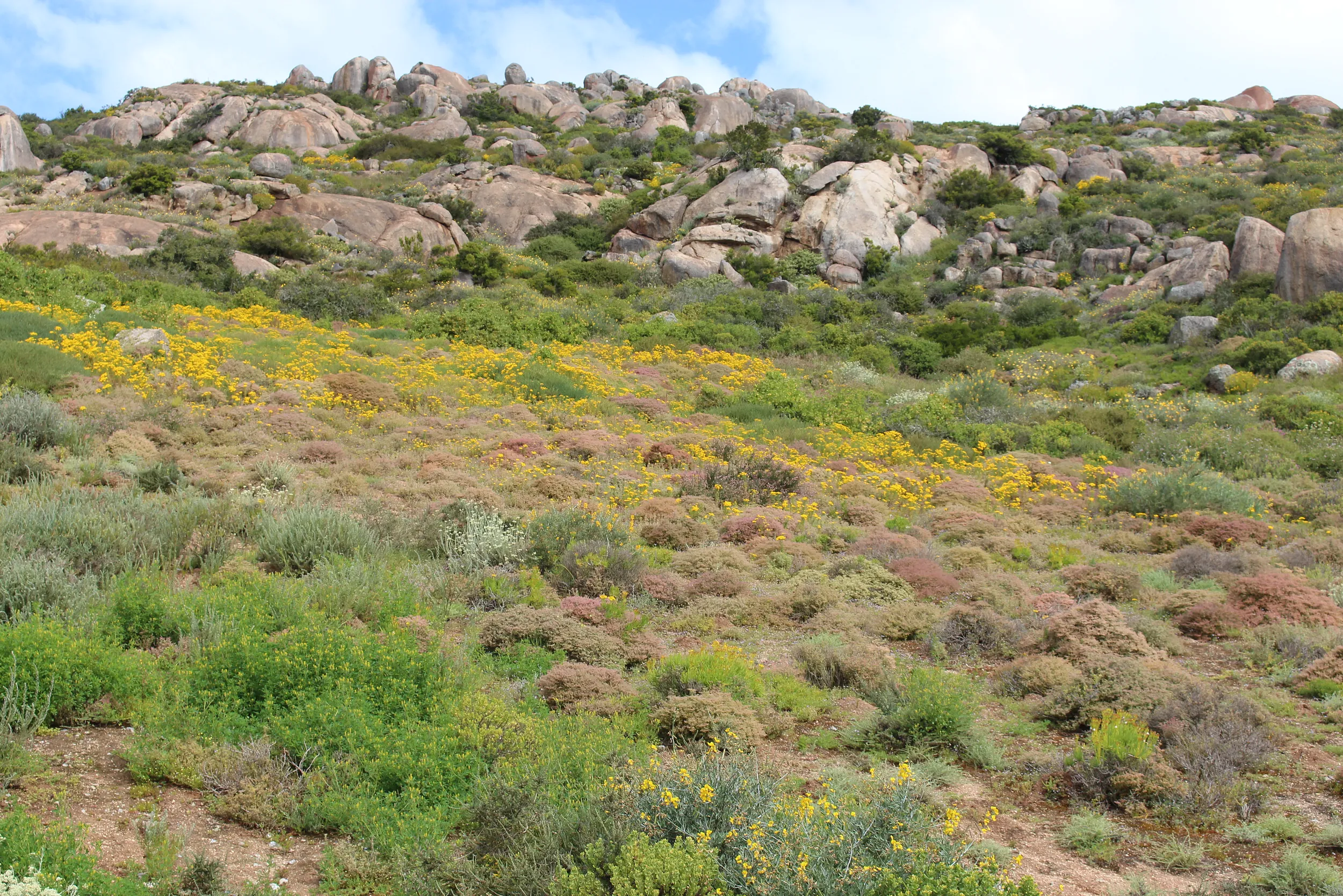 Carousel Indicator - KOaj.webp