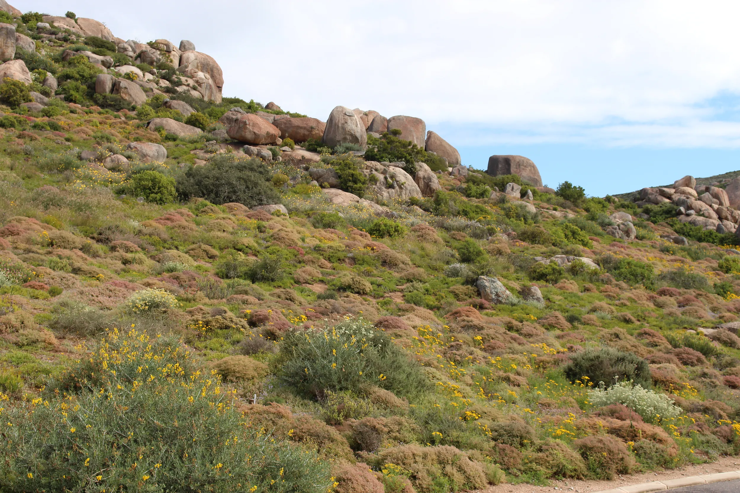 Carousel Indicator - UFvY.webp