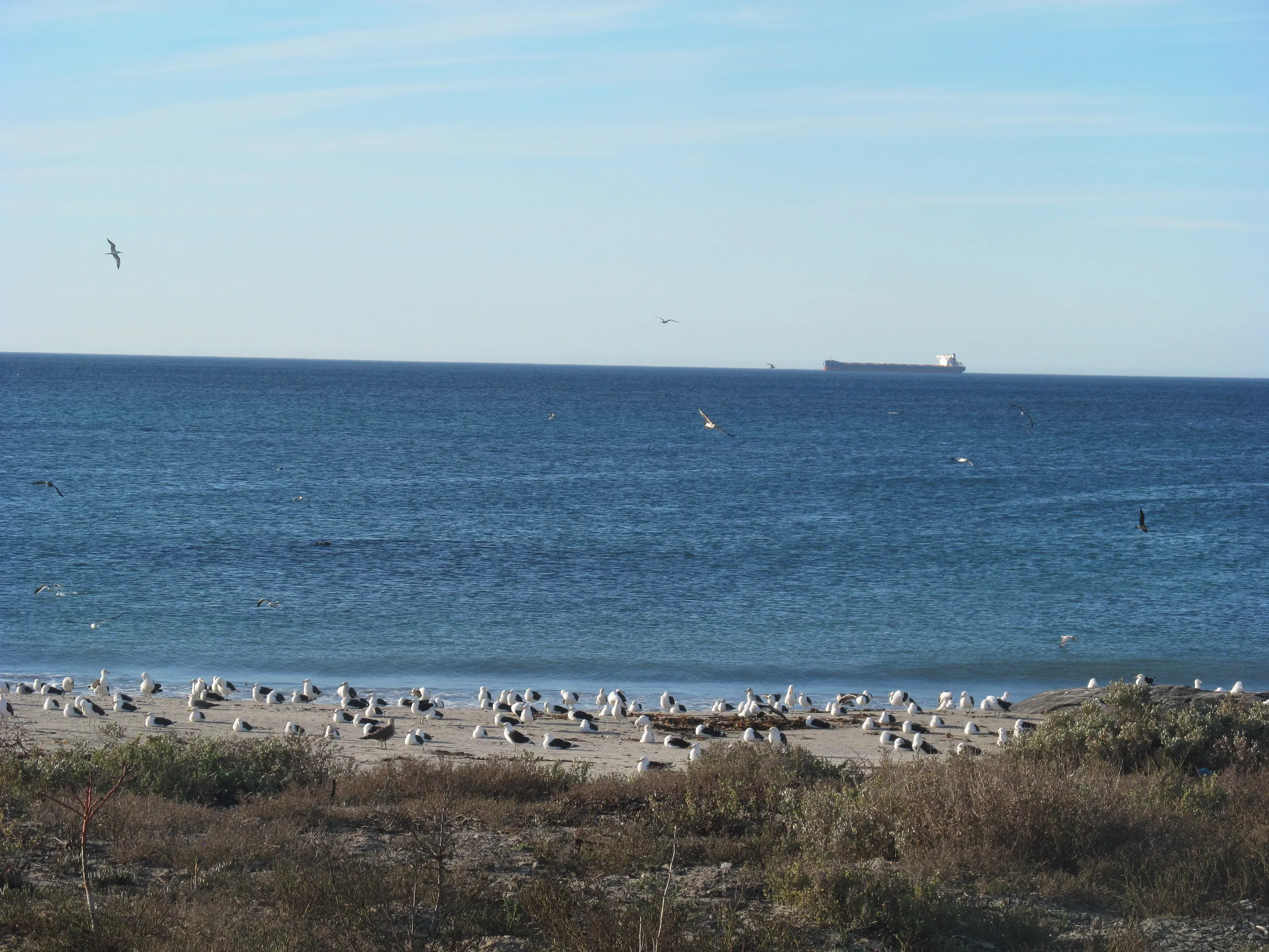 Carousel Indicator - XRbe.webp