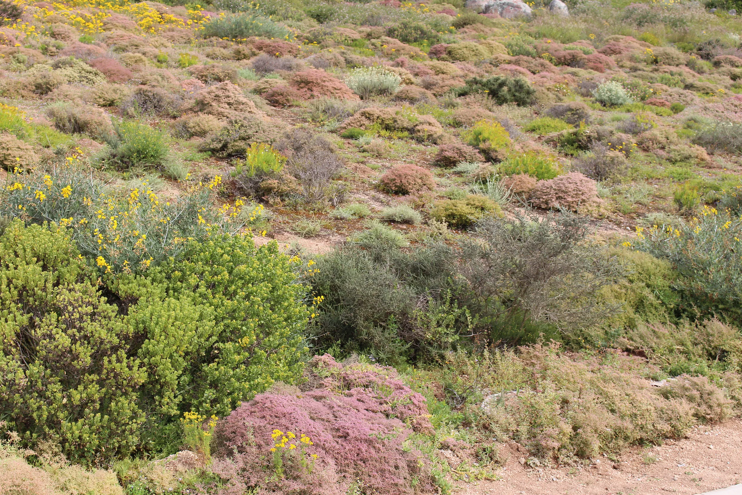 Carousel Indicator - eJ3t.webp