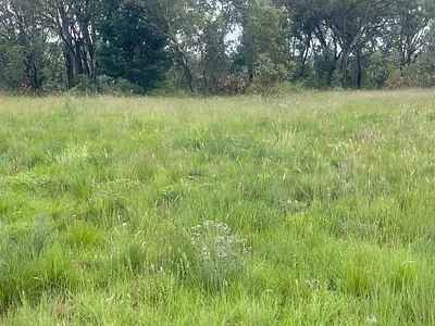 Farm For Sale in Walkerville - img