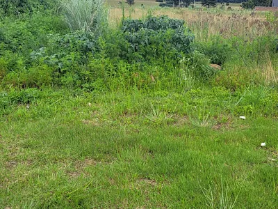 Vacant Land For Sale in Middelburg - img