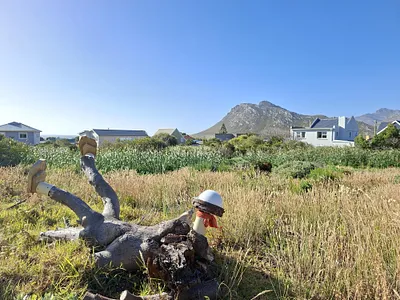 Vacant Land For Sale in Pringle Bay - img