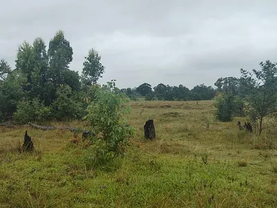 Vacant Land For Sale in Port Elizabeth - GAXK.webp