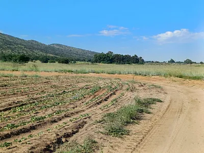 Farm For Sale in Krugersdorp - FlAW.webp