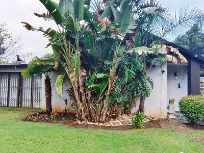 3 Bedroom House For Sale in Boksburg - KttN.webp