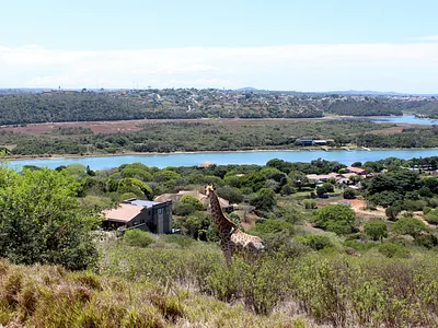 Vacant Land For Sale in Port Alfred - xLLd.webp