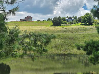 Farm For Sale in Howick - qbLm.webp