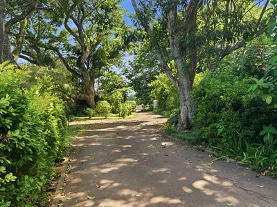 5 Bedroom House For Sale in Hillcrest - WRtu.webp