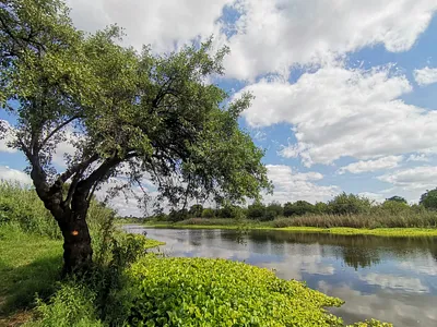 Vacant Land For Sale in Brits - BDR6.webp