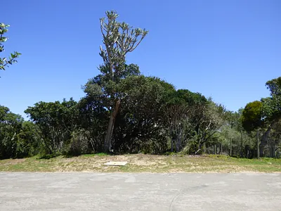 Vacant Land For Sale in Kleinemonde - wUK2.webp