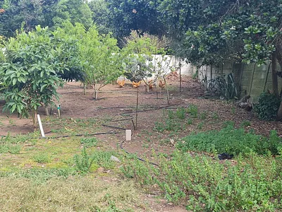 Vacant Land For Sale in Mossel Bay - BpFt.webp