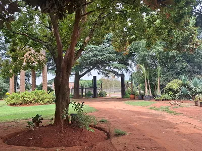 House For Sale in Benoni - soaG.webp