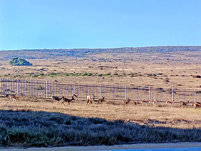 Vacant Land For Sale in Langebaan - mrlC.webp