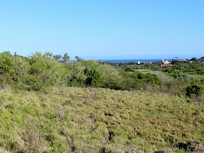 Vacant Land For Sale in Port Alfred - img