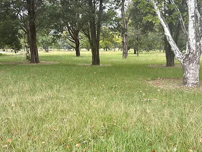 Vacant Land For Sale in Kilbarchan, Newcastle - GfnR.webp