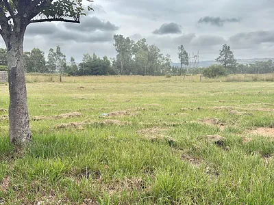 Vacant Land For Sale in Newcastle - dDOG.webp