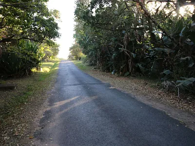 Vacant Land For Sale in Pennington - 3dYP.webp