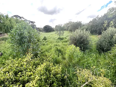 Vacant Land For Sale in Napier - Yf6e.webp