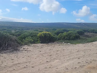 Vacant Land For Sale in Agulhas - aVAn.webp
