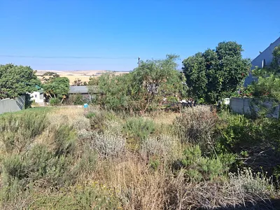 Vacant Land For Sale in Bot River - img