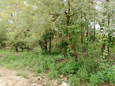 Vacant Land For Sale in Marloth Park - Sg13.webp