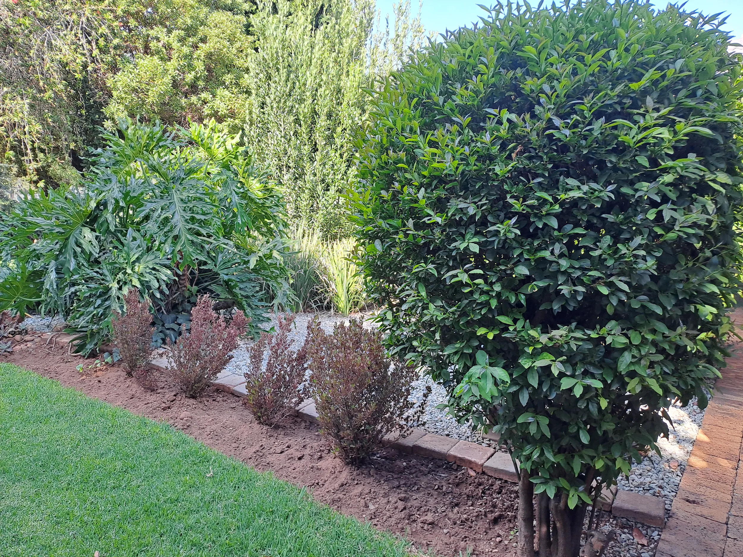 Carousel Indicator - b1ah.webp