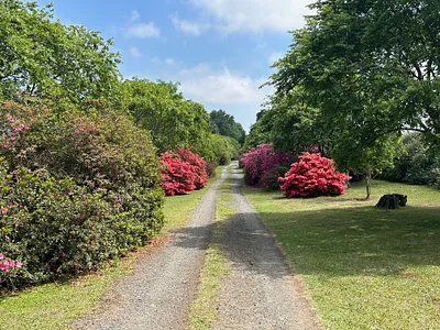 Farm For Sale in Howick - Lj1I.webp